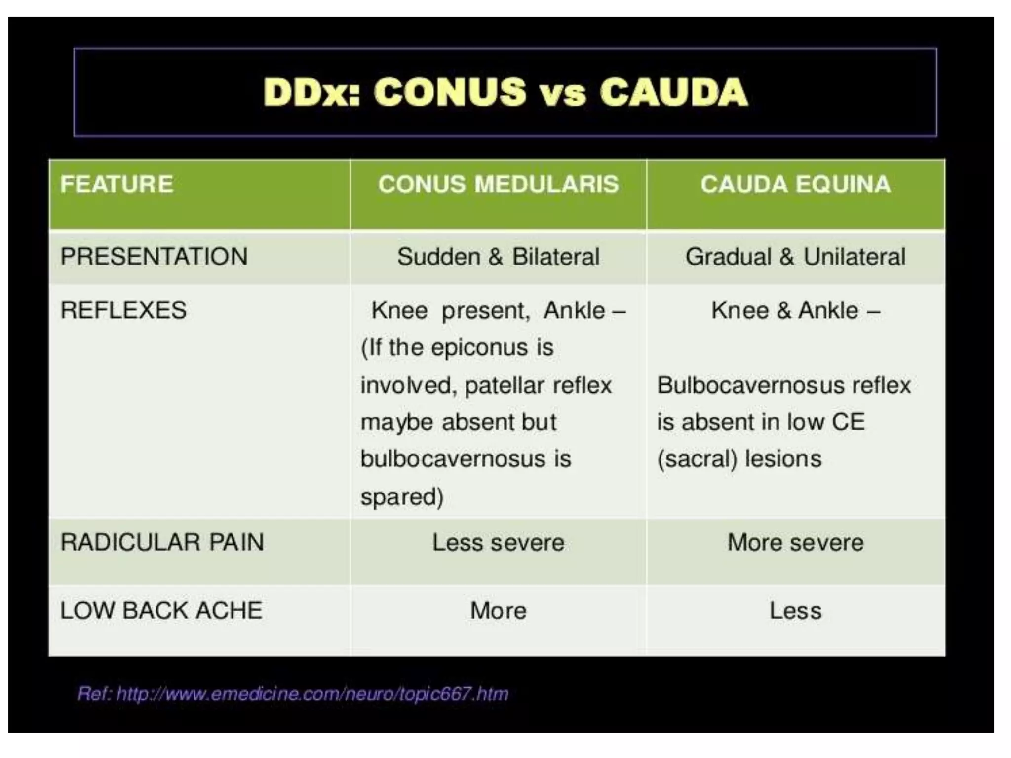 Ascending and descending tracts of spinal cord