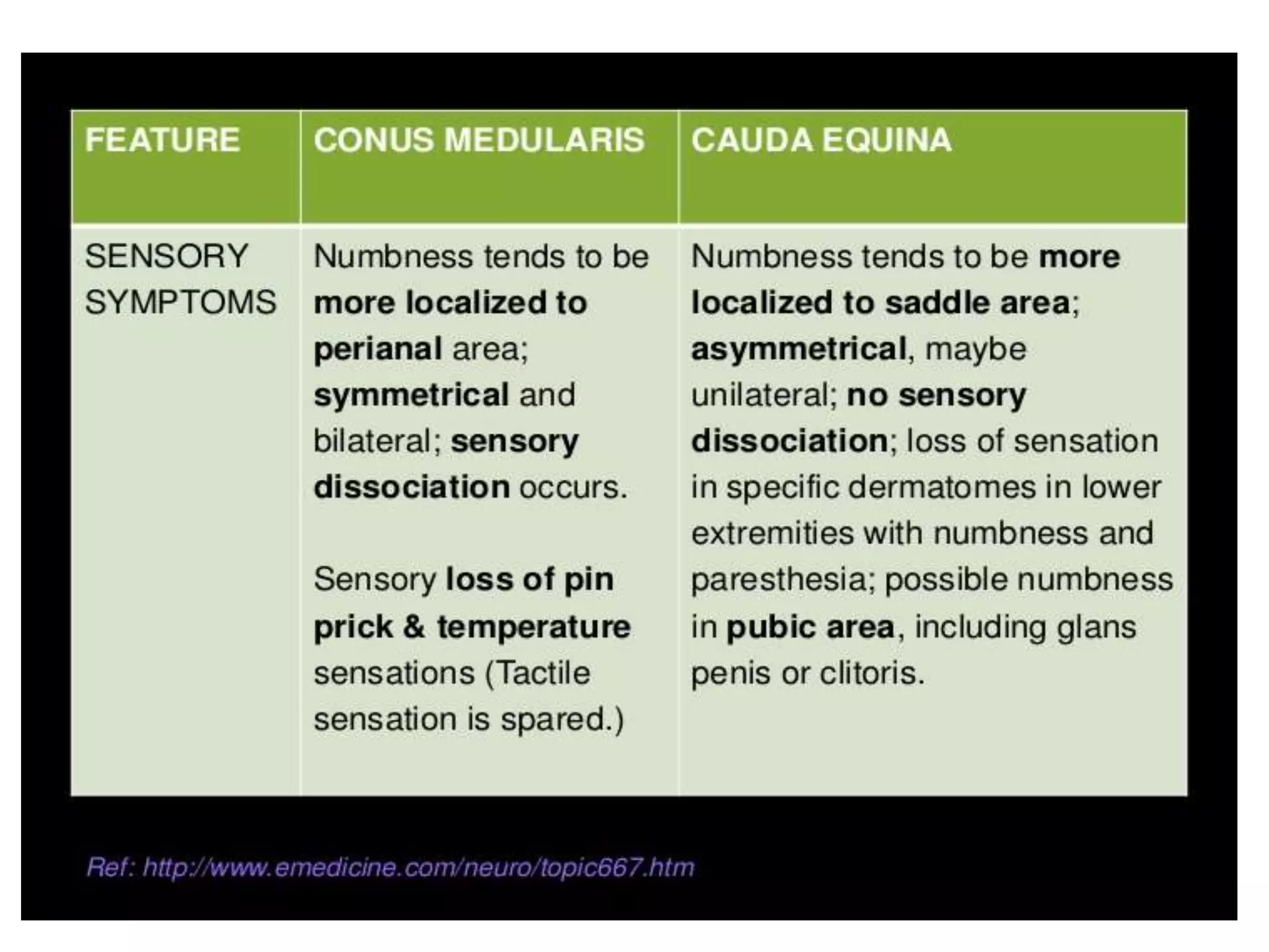 Ascending and descending tracts of spinal cord