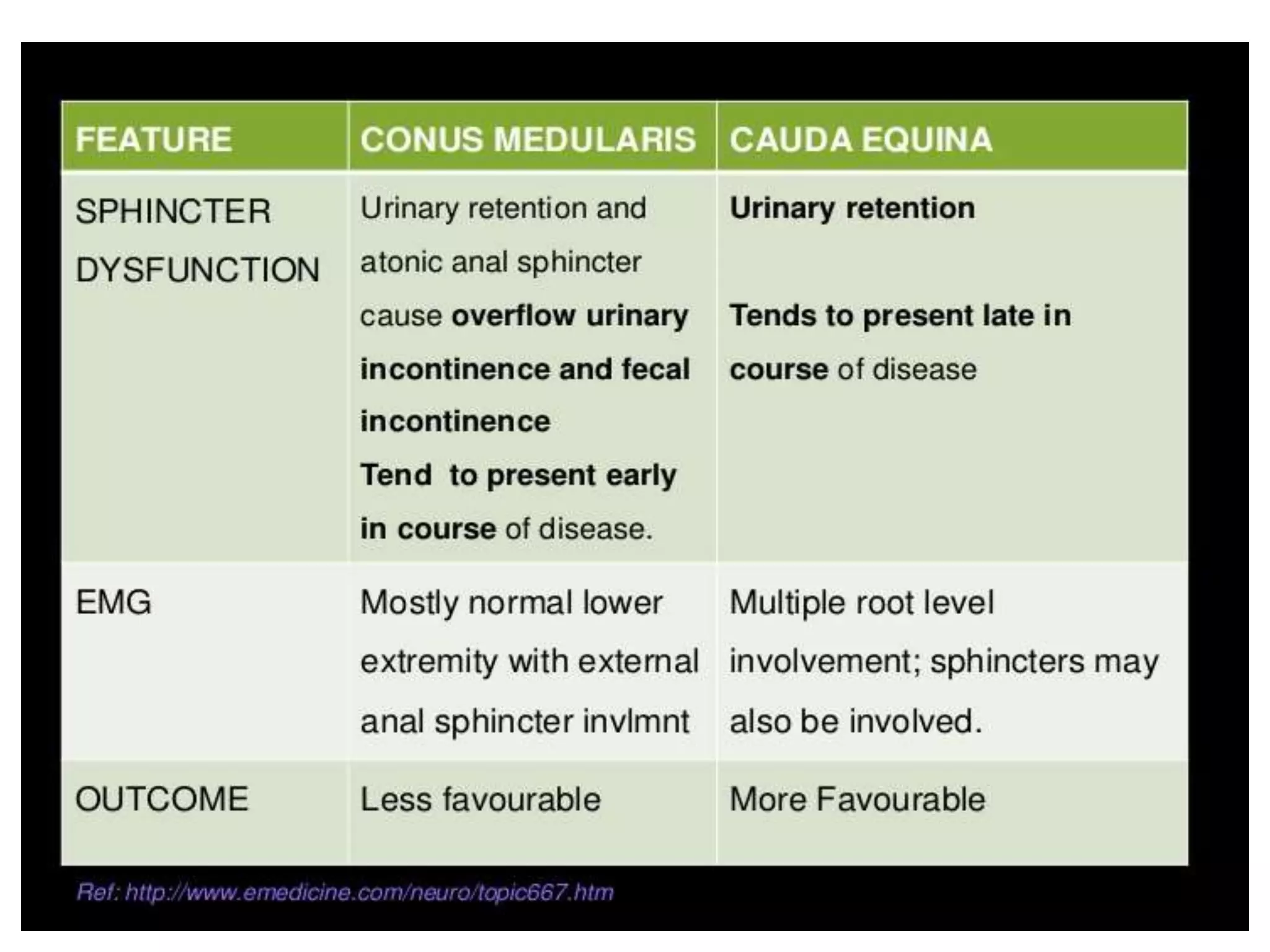 Ascending and descending tracts of spinal cord