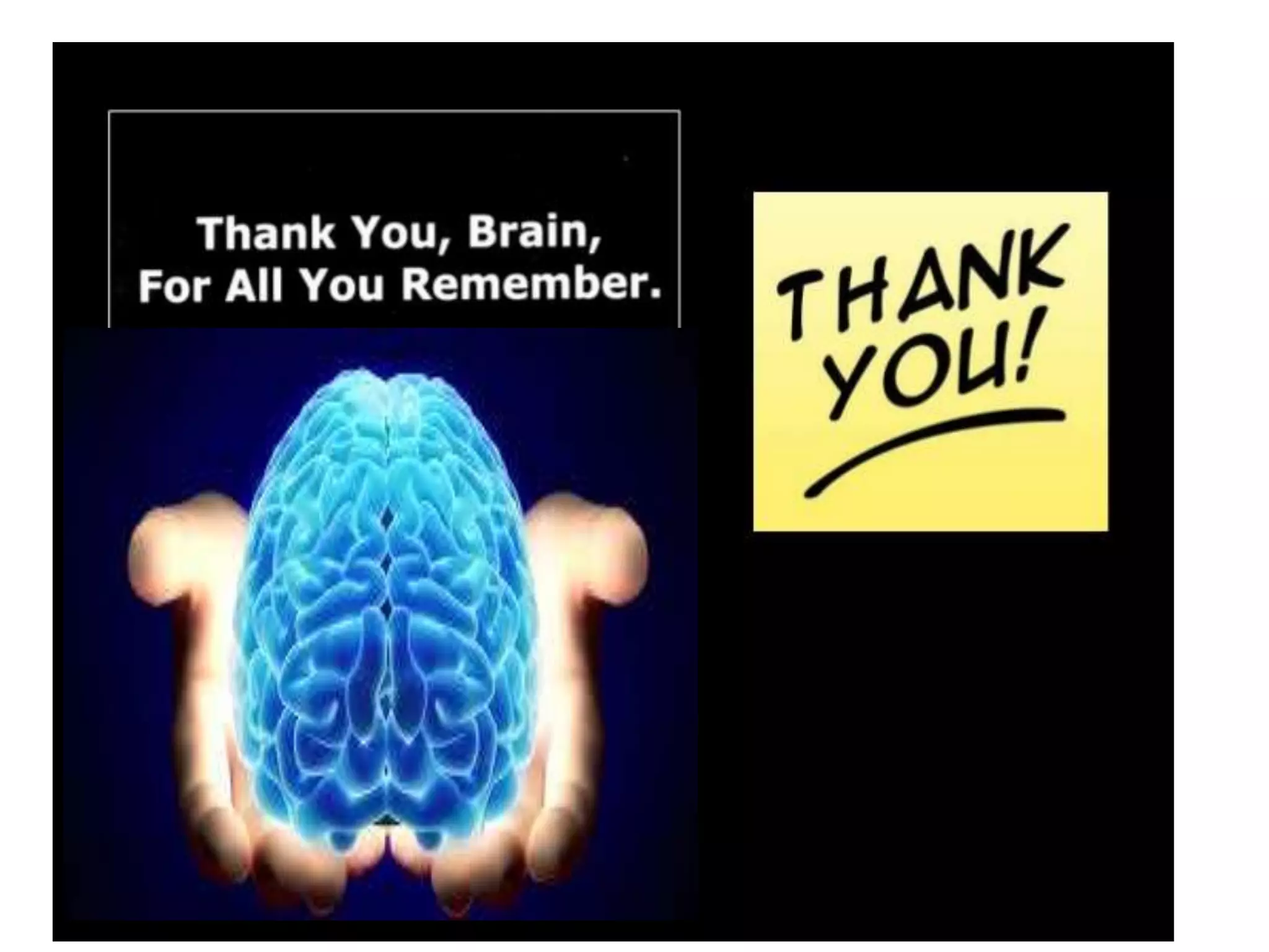 Ascending and descending tracts of spinal cord