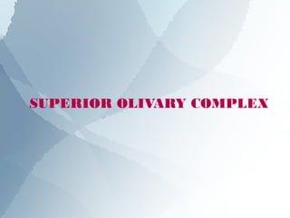 SUPERIOR OLIVARY COMPLEX
 