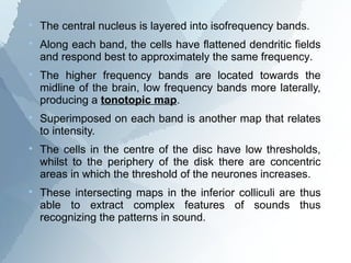 
    The central nucleus is layered into isofrequency bands.

    Along each band, the cells have flattened dendritic fields
    and respond best to approximately the same frequency.

    The higher frequency bands are located towards the
    midline of the brain, low frequency bands more laterally,
    producing a tonotopic map.

    Superimposed on each band is another map that relates
    to intensity.

    The cells in the centre of the disc have low thresholds,
    whilst to the periphery of the disk there are concentric
    areas in which the threshold of the neurones increases.

    These intersecting maps in the inferior colliculi are thus
    able to extract complex features of sounds thus
    recognizing the patterns in sound.
 