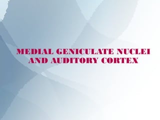 MEDIAL GENICULATE NUCLEI
  AND AUDITORY CORTEX
 