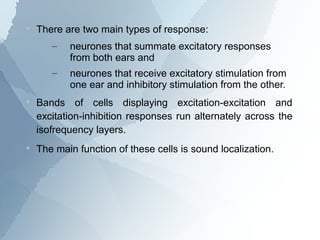 
    There are two main types of response:
       –   neurones that summate excitatory responses
           from both ears and
       –   neurones that receive excitatory stimulation from
           one ear and inhibitory stimulation from the other.

    Bands of cells displaying excitation-excitation and
    excitation-inhibition responses run alternately across the
    isofrequency layers.

    The main function of these cells is sound localization.
 