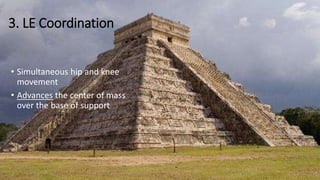 3. LE Coordination
• Simultaneous hip and knee
movement
• Advances the center of mass
over the base of support
 