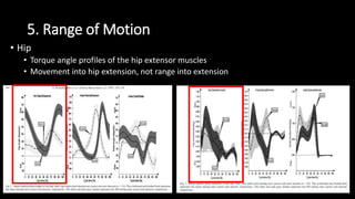5. Range of Motion
• Hip
• Torque angle profiles of the hip extensor muscles
• Movement into hip extension, not range into extension
 