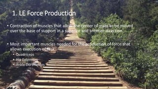 1. LE Force Production
• Contraction of muscles that allow the center of mass to be moved
over the base of support in a superior and anterior direction
• Most important muscles needed for the production of force that
allows execution of task:
• Quadriceps
• Hip Extensors
• Ankle Dorsiflexors
 