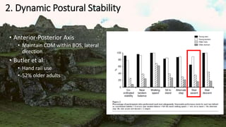 2. Dynamic Postural Stability
• Anterior-Posterior Axis
• Maintain COM within BOS, lateral
direction
• Butler et al.
• Hand rail use
• 52% older adults
 