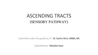 ASCENDING TRACTS
(SENSORY PATHWAY)
Submitted under the guidance of : Dr. Sachin Shris, MBBS, MS
Submitted by : Nibedita Ayan
 