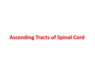 Ascending Tracts of Spinal Cord
 