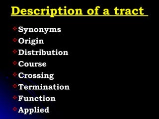 ASCENDING TRACTS | PPT