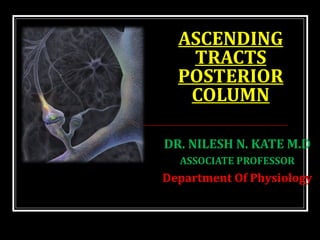ASCENDINGASCENDING
TRACTSTRACTS
POSTERIORPOSTERIOR
COLUMNCOLUMN
DR. NILESH N. KATE M.D
ASSOCIATE PROFESSOR
Department Of Physiology
 