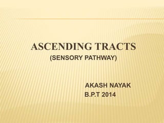 ASCENDING TRACTS
(SENSORY PATHWAY)
AKASH NAYAK
B.P.T 2014
 