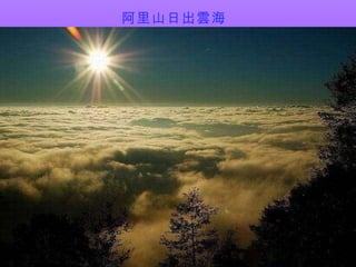 ɽճƺ 
