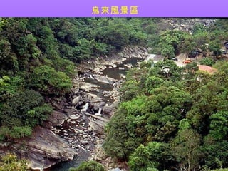 羰 