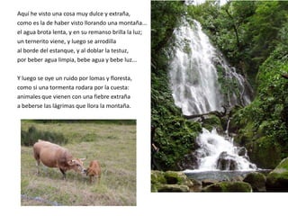 Aquí he visto una cosa muy dulce y extraña,
como es la de haber visto llorando una montaña...
el agua brota lenta, y en su remanso brilla la luz;
un ternerito viene, y luego se arrodilla
al borde del estanque, y al doblar la testuz,
por beber agua limpia, bebe agua y bebe luz...

Y luego se oye un ruido por lomas y floresta,
como si una tormenta rodara por la cuesta:
animales que vienen con una fiebre extraña
a beberse las lágrimas que llora la montaña.
 