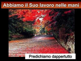 Abbiamo il Suo lavoro nelle mani




          Predichiamo dappertutto
 