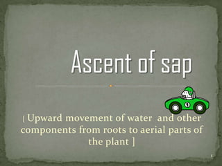 [Upward movement of water and other
components from roots to aerial parts of
             the plant ]
                                           1
 