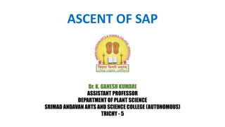 ASCENT OF SAP
Dr. K. GANESH KUMARI
ASSISTANT PROFESSOR
DEPARTMENT OF PLANT SCIENCE
SRIMAD ANDAVAN ARTS AND SCIENCE COLLEGE (AUTONOMOUS)
TRICHY - 5
 