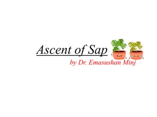Ascent of Sap
by Dr. Emasushan Minj
 