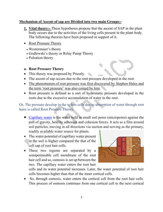 Ascent of Sap or Transpiration Pull Theory | PDF