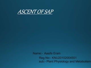 Name:- Aasifa Eram
Reg No:- KNU20102004551
sub:- Plant Physiology and Metabolism
 