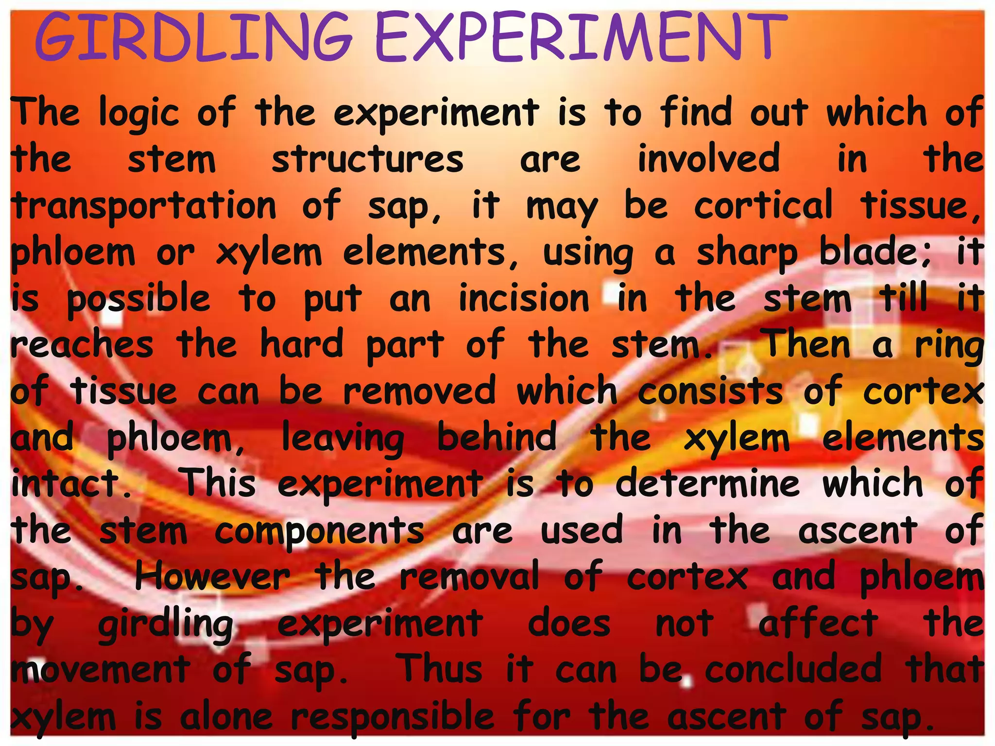 The logic of the experiment is to find out which of
the stem structures are involved in the
transportation of sap, it may be cortical tissue,
phloem or xylem elements, using a sharp blade; it
is possible to put an incision in the stem till it
reaches the hard part of the stem. Then a ring
of tissue can be removed which consists of cortex
and phloem, leaving behind the xylem elements
intact. This experiment is to determine which of
the stem components are used in the ascent of
sap. However the removal of cortex and phloem
by girdling experiment does not affect the
movement of sap. Thus it can be concluded that
xylem is alone responsible for the ascent of sap.
GIRDLING EXPERIMENT
 