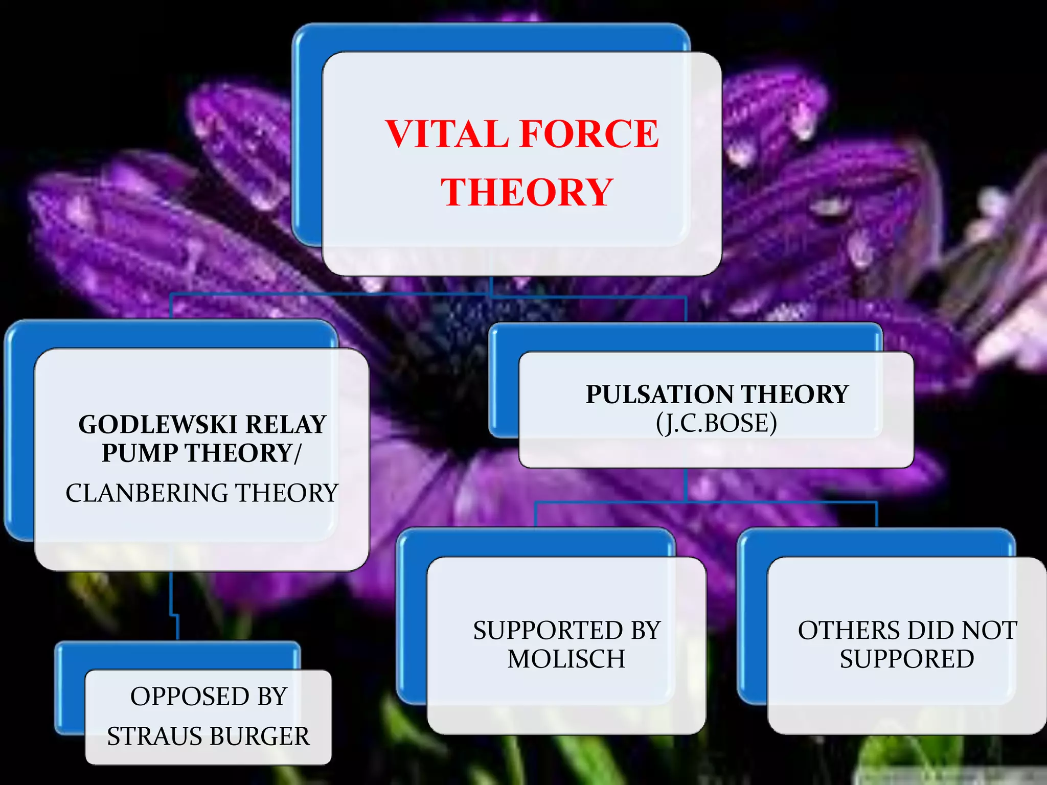VITAL FORCE
THEORY
GODLEWSKI RELAY
PUMP THEORY/
CLANBERING THEORY
OPPOSED BY
STRAUS BURGER
PULSATION THEORY
(J.C.BOSE)
SUPPORTED BY
MOLISCH
OTHERS DID NOT
SUPPORED
 