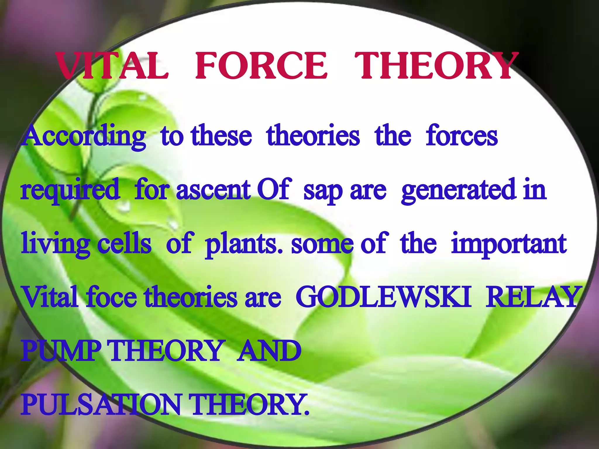 VITAL FORCE THEORY
According to these theories the forces
required for ascent Of sap are generated in
living cells of plants. some of the important
Vital foce theories are GODLEWSKI RELAY
PUMPTHEORY AND
PULSATIONTHEORY.
 