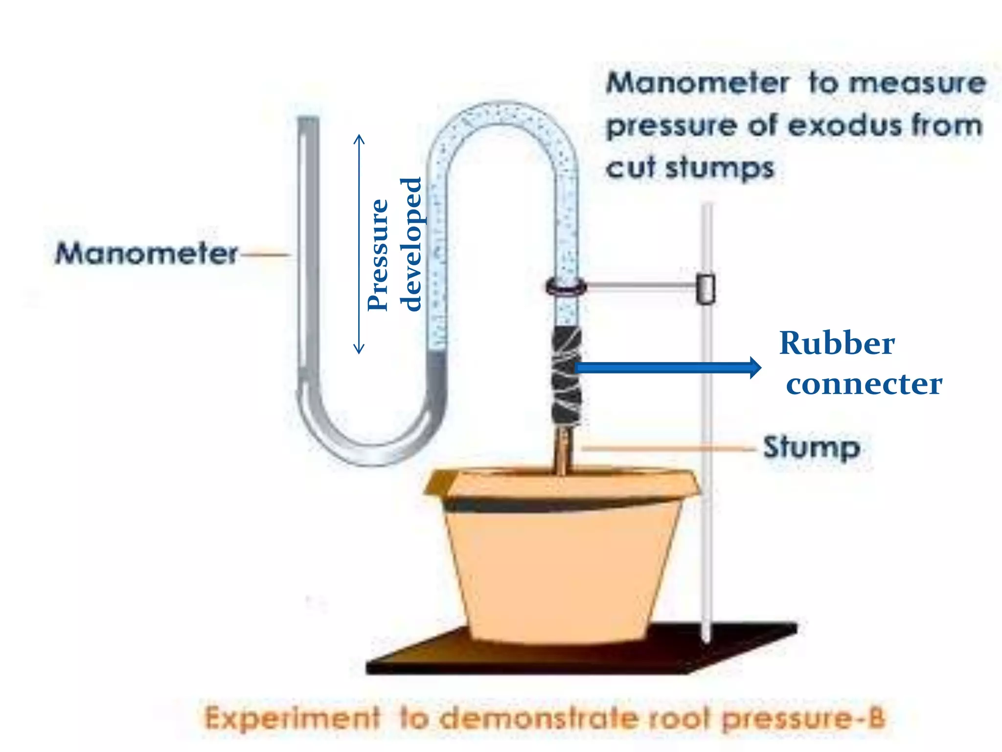 Rubber
connecterPressure
developed
 