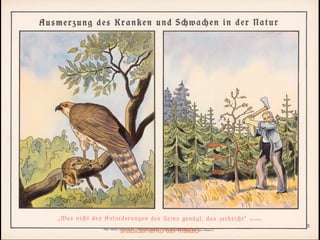 sradicamento del malato 
 