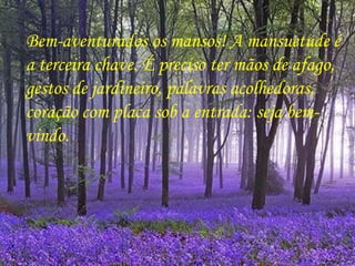 Bem-aventurados os mansos! A mansuetude é a terceira chave. É preciso ter mãos de afago, gestos de jardineiro, palavras acolhedoras, coração com placa sob a entrada: seja bem-vindo.  