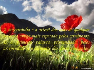 A misericórdia é a artesã das asas de qualquer anjo e a amiga mais esperada pelos criminosos. É a primeira palavra pronunciada pelos arrependidos e o calmante das dores pungentes.  