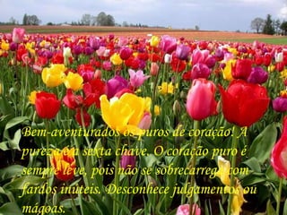 Bem-aventurados os puros de coração! A pureza é a sexta chave. O coração puro é sempre leve, pois não se sobrecarrega com fardos inúteis. Desconhece julgamentos ou mágoas.  