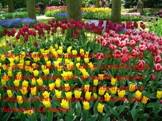 Não se contamina caminhando  em hospitais  ou pres í dios; não acusa, não se assombra, passa  em silêncio, mesmo entre as maiores agressões.  O cora ç ão puro é como a água limpa que lava  todas as feridas e é respeitado até mesmo pelos  habitantes da sombra. 