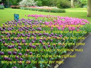 Esta é a lição na qual Jesus mais se aprimorou, exemplificar o ensinamento, vivenciar a palavra.  Não se conhece um único gesto seu que não seja  a essência do seu amor. Por isso se definiu como  o caminho, a verdade, a vida, e reafirmou mais  uma vez o caminho da reden ç ão espiritual:  ninguém vem ao Pai senão por mim.  
