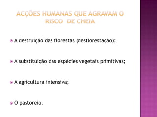 Acções humanas que agravam o risco  de cheiaA destruição das florestas (desflorestação);A substituição das espécies vegetais primitivas;A agricultura intensiva;O pastoreio.