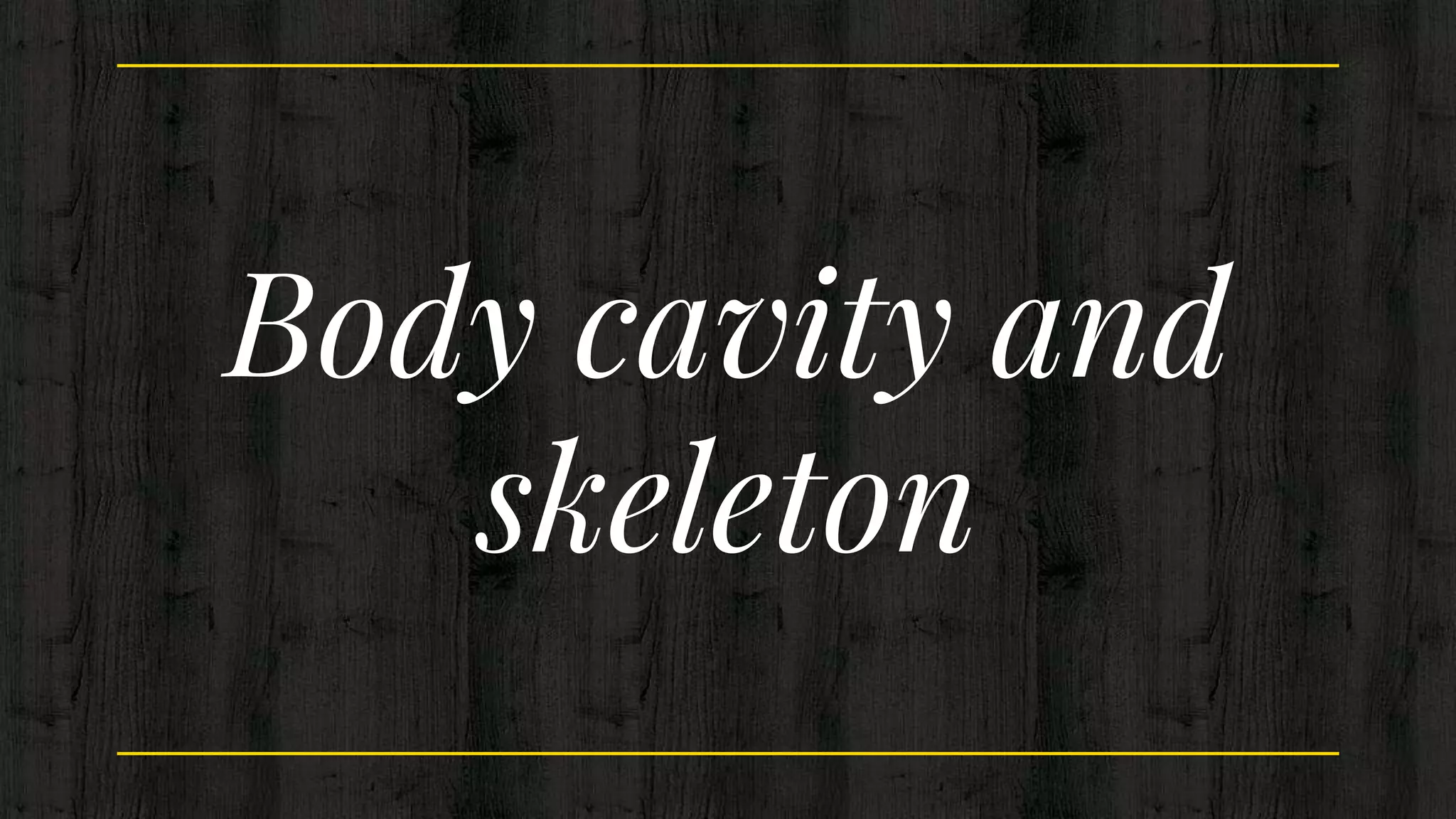 Body cavity and
skeleton
 