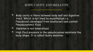 BODY CAVITY AND SKELETON
◈ Body cavity is there between body wall and digestive
tract. Which is not lined by mesothelium i.e.
Pseudocoel (developed from blastocoel) and contain
Pseudocoelomic fluid.
◈ Skeleton is not mineralized.
◈ High fluid pressure in the pseudocoelom maintains the
body shape. It is called Hydro skeleton.
 