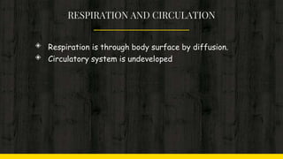 RESPIRATION AND CIRCULATION
◈ Respiration is through body surface by diffusion.
◈ Circulatory system is undeveloped
 