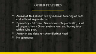 OTHER FEATURES
◈ Animal of this phylum are cylindrical, tapering at both
end without segmentation.
◈ Symmetry - Bilateral, Germ layer - Triploblastic, Level
of organisation - Organ system level and having tube
within tube plan.
◈ Anterior end does not show distinct head.
◈ No appendage
 