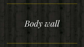 Body wall
 