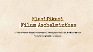 Klasifikasi
Filum Aschelminthes
Aschelminthes dapat dikelompokkan menjadi dua kelas, Nematoda dan
Nematomorpha (Gordiaceae).
 
