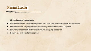 Nematoda
Ciri-ciri umum Nematoda:
● Bilateral simetris, tidak bersegmen dan tidak memiliki alat gerak (extremitas)
● Memiliki kutikula yang tebal dan dinding tubuh terdiri dari 3 lapisan
● Saluran pencernaan dimulai dari mulut di ujung posterior
● Belum memiliki sistem respirasi
 
