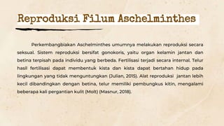 Perkembangbiakan Aschelminthes umumnya melakukan reproduksi secara
seksual. Sistem reproduksi bersifat gonokoris, yaitu organ kelamin jantan dan
betina terpisah pada individu yang berbeda. Fertilisasi terjadi secara internal. Telur
hasil fertilisasi dapat membentuk kista dan kista dapat bertahan hidup pada
lingkungan yang tidak menguntungkan (Julian, 2015). Alat reproduksi jantan lebih
kecil dibandingkan dengan betina, telur memiliki pembungkus kitin, mengalami
beberapa kali pergantian kulit (Molt) (Masnur, 2018).
Reproduksi Filum Aschelminthes
 