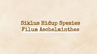 Siklus Hidup Spesies
Filum Aschelminthes
 
