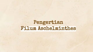 Pengertian
Filum Aschelminthes
 