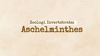Zoologi Invertebrata:
Aschelminthes
 