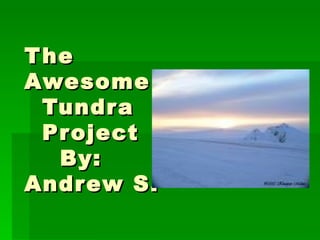 The  Awesome   Tundra   Project   By: Andrew S.  