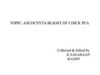 Collected & Edited by
K.NAGARAJAN
M.GOPI
TOPIC: ASCOCHYTA BLIGHT OF CHICK PEA
 